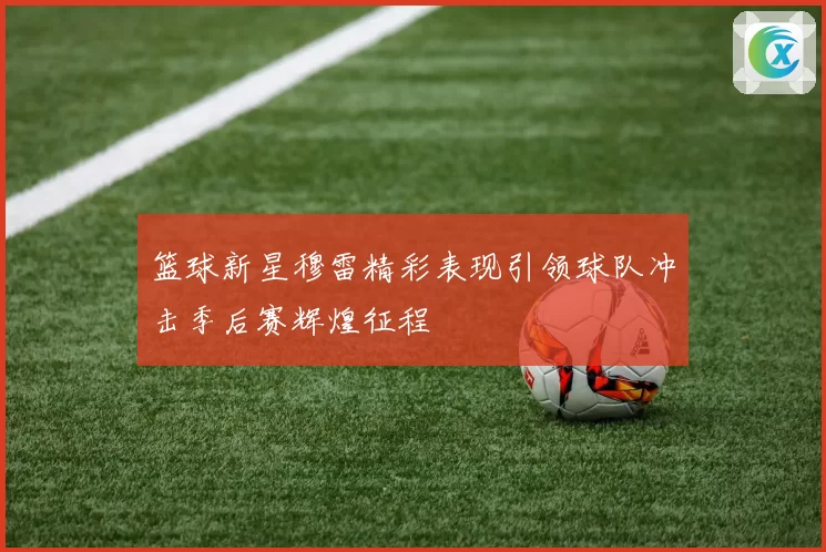 篮球新星穆雷精彩表现引领球队冲击季后赛辉煌征程
