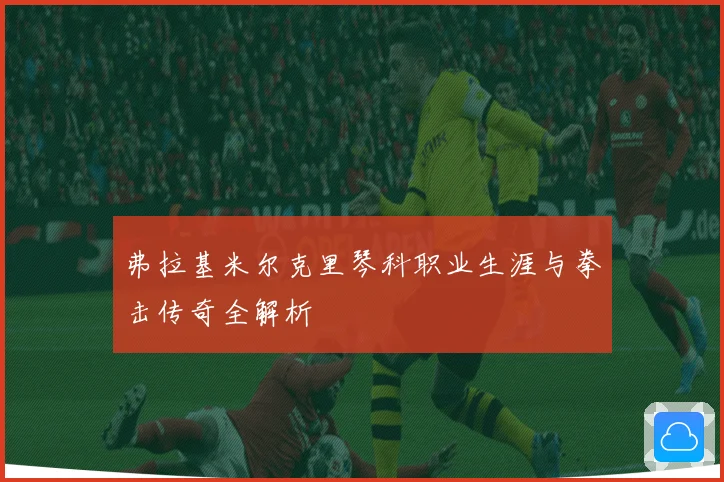 弗拉基米尔克里琴科职业生涯与拳击传奇全解析