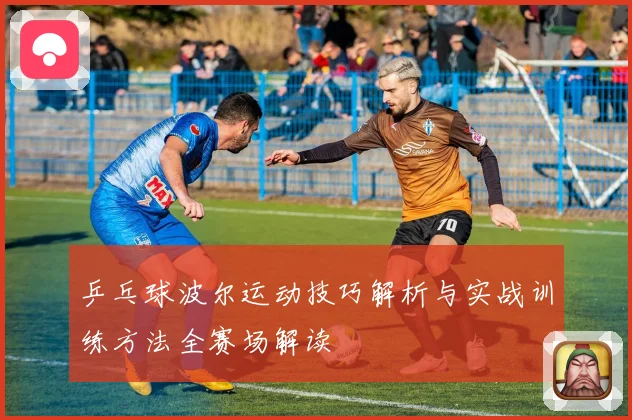 乒乓球波尔运动技巧解析与实战训练方法全赛场解读