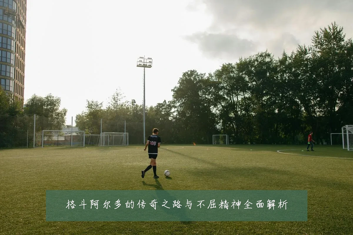 格斗阿尔多的传奇之路与不屈精神全面解析