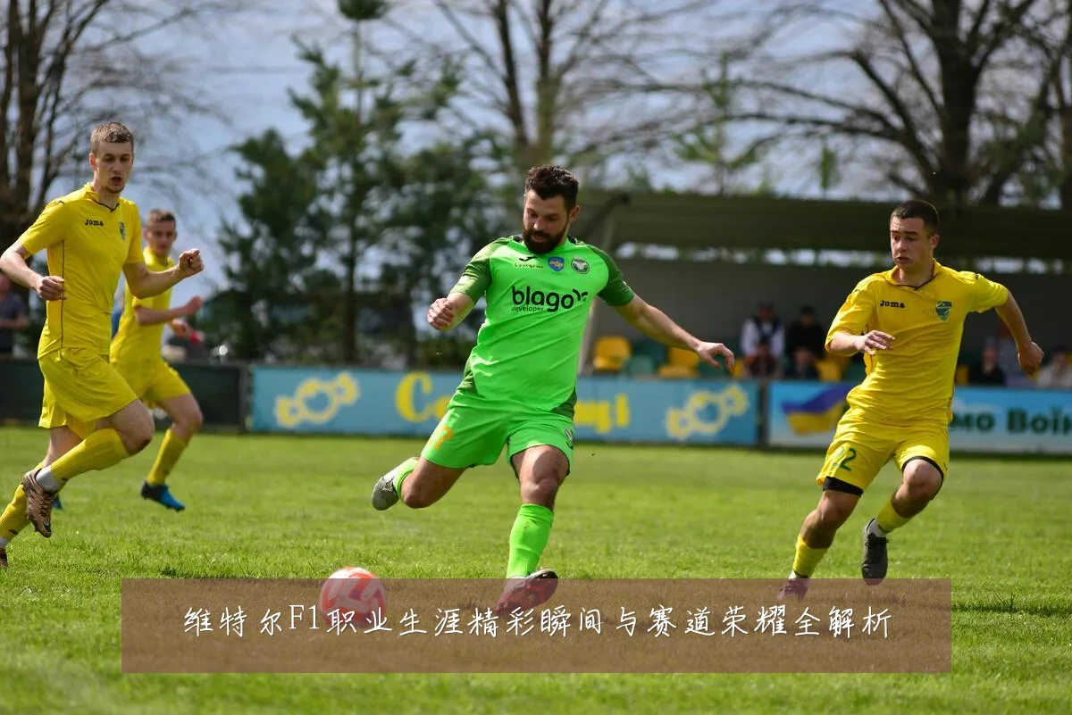 维特尔F1职业生涯精彩瞬间与赛道荣耀全解析